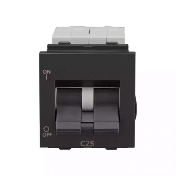 CB91202KG25 entice 25A DP Mini MCB 3 kA C Grey