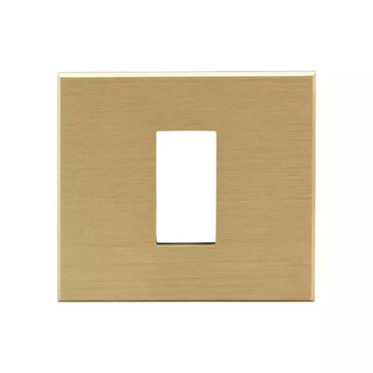 CB92101FG03 englaze 1 module Metal plate M Gold